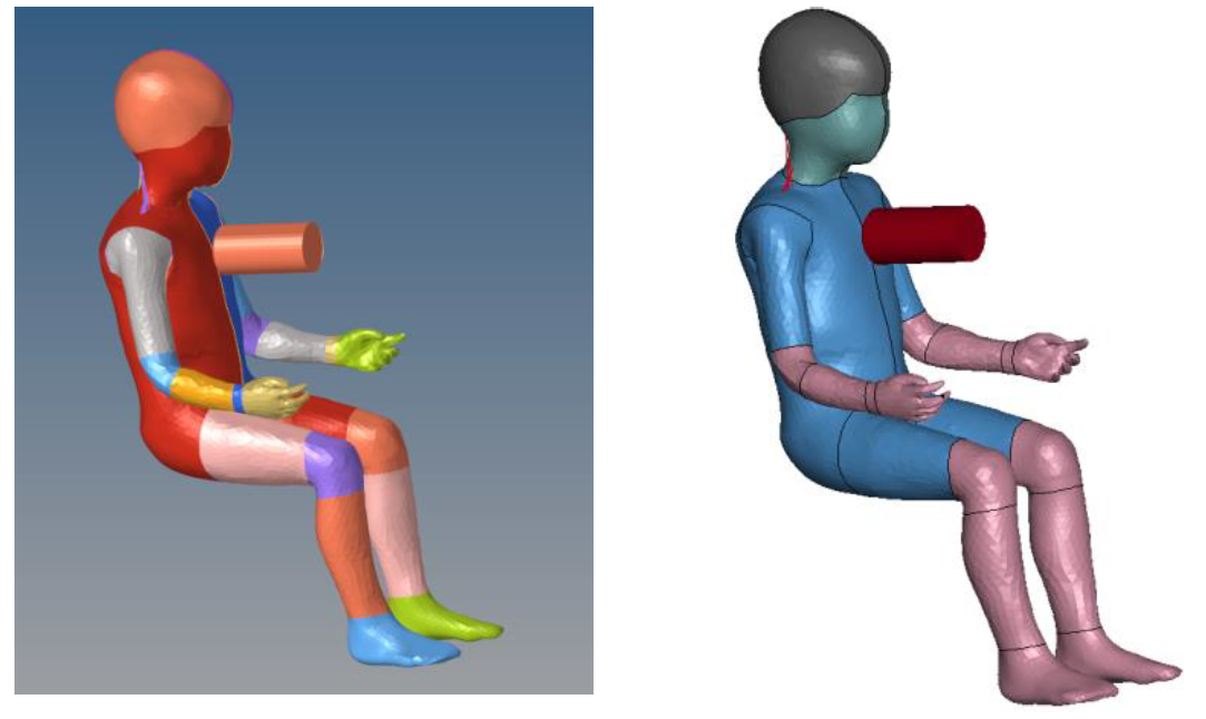 Child model in Radioss/Hyperview (left) and Dyna/LsPrepost (right)