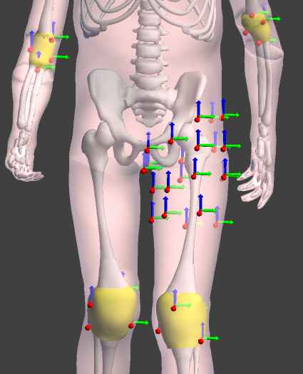 Example of custom affines on the child pedestrian model