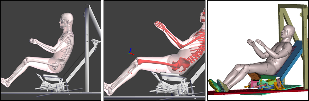 example of posture change (Ircobi 2018)